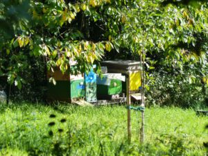 Herbstwanderung 2023 - Altenstadt - Bienenstöcke am Rückweg