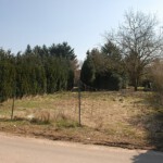 Rohzustand