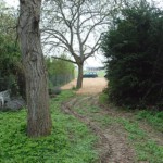 Blick von Hinten nach vorne zur freien Fläche Blick von Hinten nach vorne zur freien Fläche