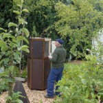 Aufbau der Schwarmbeute Aufbau der Schwarmbeute