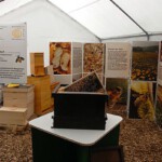 Hier ist alles "Rund um die Biene" zu finden. Hier ist alles "Rund um die Biene" zu finden.