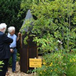 Die Schwarmbeute, zum Anfassen und hineinschauen in den Bienenstock.