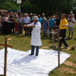 Allein der Geruchsstoff (Pheromon) der Königin veranlasst die Bienen sich dort zu versammeln Allein der Geruchsstoff (Pheromon) der Königin veranlasst die Bienen sich dort zu versammeln