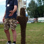 Zuschauer überwanden ihre Angst ließen es zu, dass Bienen über ihre Hand liefen