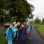 Herbstwanderung 2022 - Pause am Lausbaum - 03