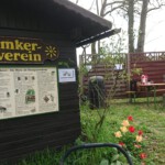 Tag rund um die Biene 2023