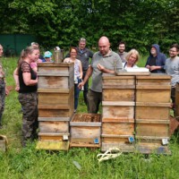 Workshop - Umlarven