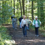 Herbstwanderung 2023 - Altenstadt - Auf dem Weg zum Kloster 8 Herbstwanderung 2023 - Altenstadt - Auf dem Weg zum Kloster 8