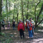 Herbstwanderung 2023 - Altenstadt - Auf dem Weg zum Kloster 9 Herbstwanderung 2023 - Altenstadt - Auf dem Weg zum Kloster 9