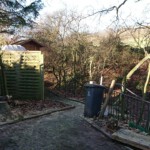 Umgestürzter Bienenbaum - nach dem Aufräumen (2) Umgestürzter Bienenbaum - nach dem Aufräumen - Ansicht 2