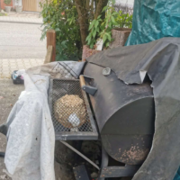 Vespa velutina - Primärnest im Smoler !!(Fundorte Nester, by Nicki König)