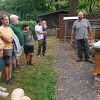 Monatsbetrachtung August 2024 - Praxis 2