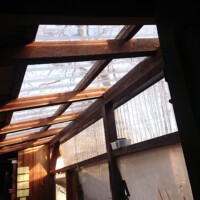 ... Helles Licht im Bienenhaus