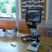 Tag rund um die Biene 2025 - 12