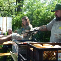 Tag rund um die Biene 2025 - 19