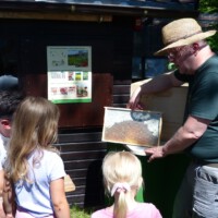 Tag rund um die Biene 2025 - 08