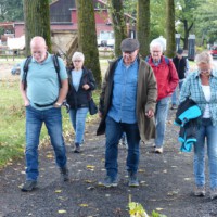 ... müssen sie kommen (3)