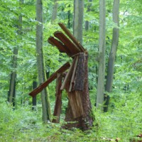 Am Wegesrand (4)