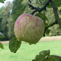 ... Leckere Marschverpflegung ...