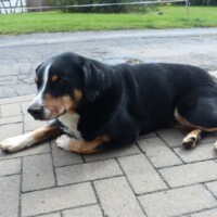 Beim Bauer Gerth (Diebach am Haag)