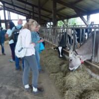 Bauer Gerth - Besuch im Stall